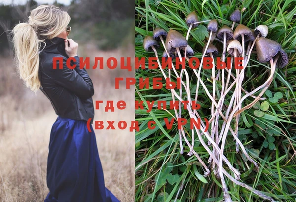 кокаин VHQ Болотное
