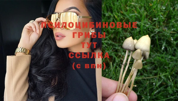 марки nbome Пересвет