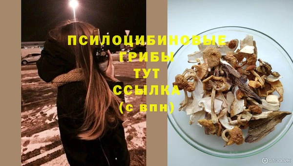 марки nbome Пересвет